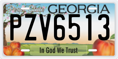 GA license plate PZV6513