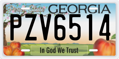 GA license plate PZV6514