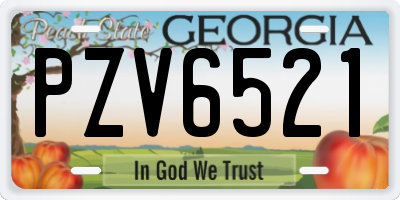 GA license plate PZV6521