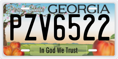 GA license plate PZV6522