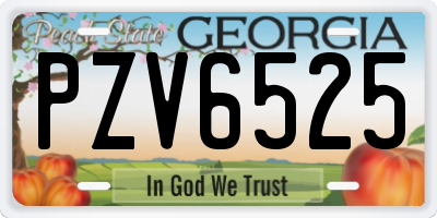 GA license plate PZV6525