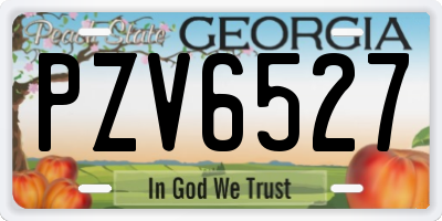 GA license plate PZV6527