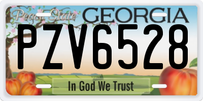 GA license plate PZV6528