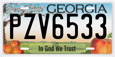 GA license plate PZV6533