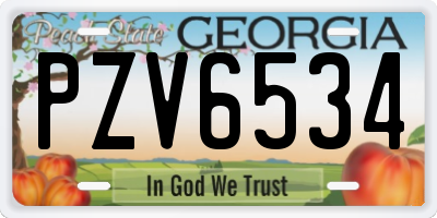 GA license plate PZV6534