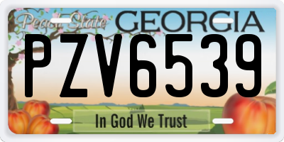 GA license plate PZV6539
