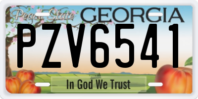 GA license plate PZV6541