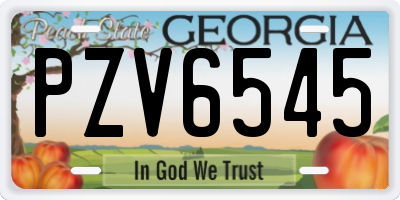 GA license plate PZV6545