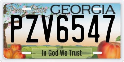 GA license plate PZV6547