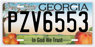 GA license plate PZV6553