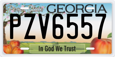 GA license plate PZV6557