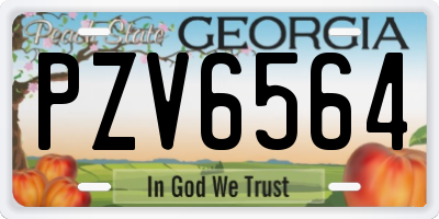 GA license plate PZV6564