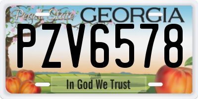 GA license plate PZV6578