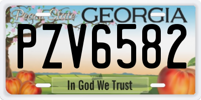 GA license plate PZV6582