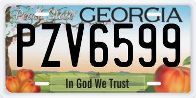 GA license plate PZV6599