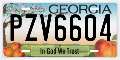 GA license plate PZV6604