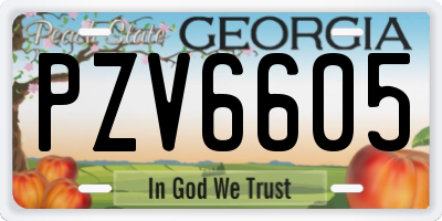 GA license plate PZV6605