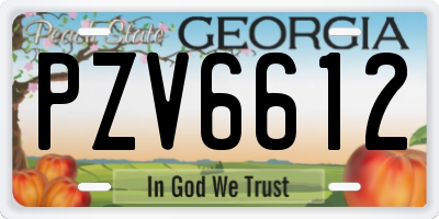 GA license plate PZV6612