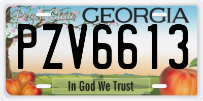 GA license plate PZV6613