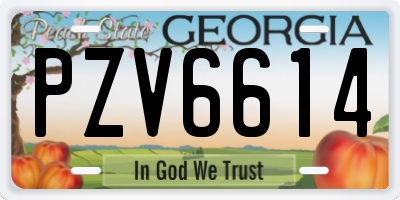 GA license plate PZV6614