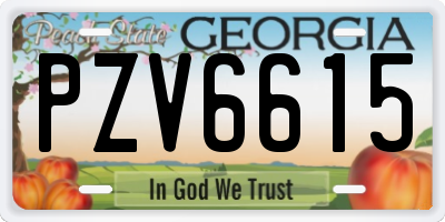 GA license plate PZV6615