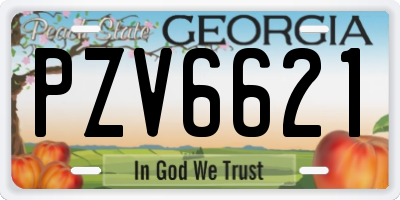 GA license plate PZV6621