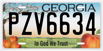 GA license plate PZV6634