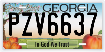 GA license plate PZV6637