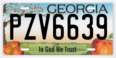 GA license plate PZV6639