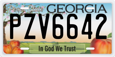 GA license plate PZV6642