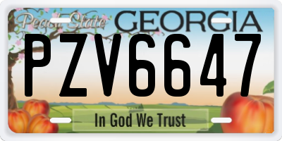 GA license plate PZV6647