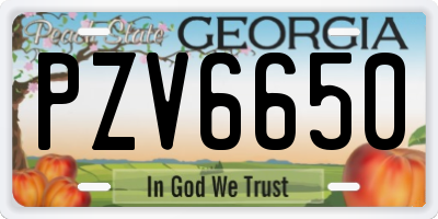GA license plate PZV6650