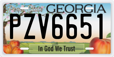 GA license plate PZV6651