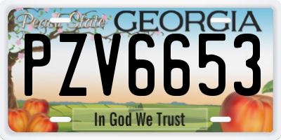 GA license plate PZV6653