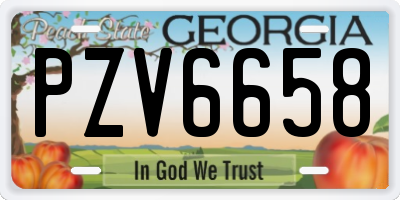GA license plate PZV6658