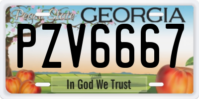 GA license plate PZV6667