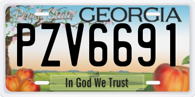 GA license plate PZV6691