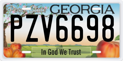 GA license plate PZV6698