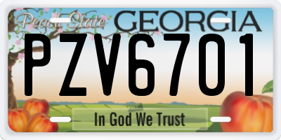 GA license plate PZV6701
