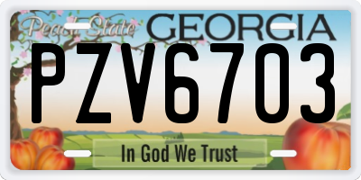 GA license plate PZV6703