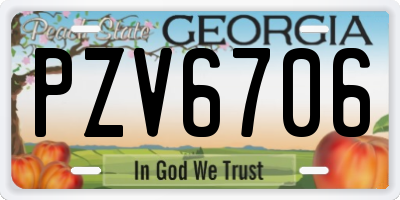 GA license plate PZV6706