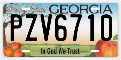 GA license plate PZV6710