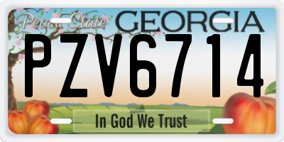 GA license plate PZV6714