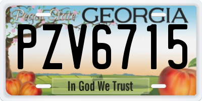 GA license plate PZV6715