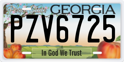 GA license plate PZV6725