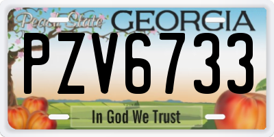 GA license plate PZV6733
