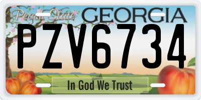 GA license plate PZV6734