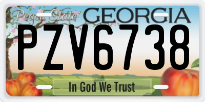 GA license plate PZV6738