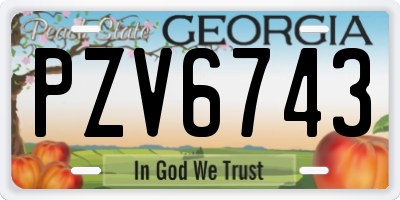 GA license plate PZV6743