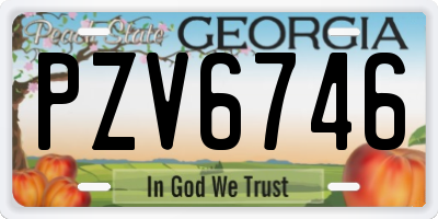 GA license plate PZV6746